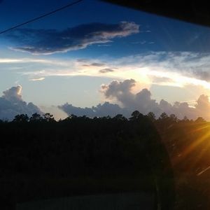 Meet your Posher, Gerald